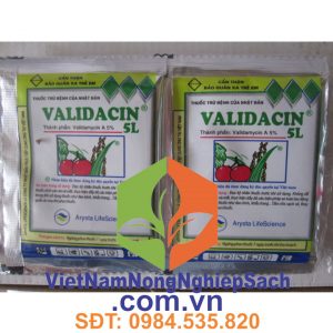 VALIDACIN-5L-GÓI