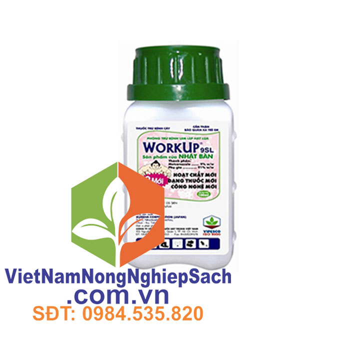 WORKUP-9SL WORKUP-9SL