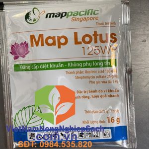 MAP-LOTUS-125WP