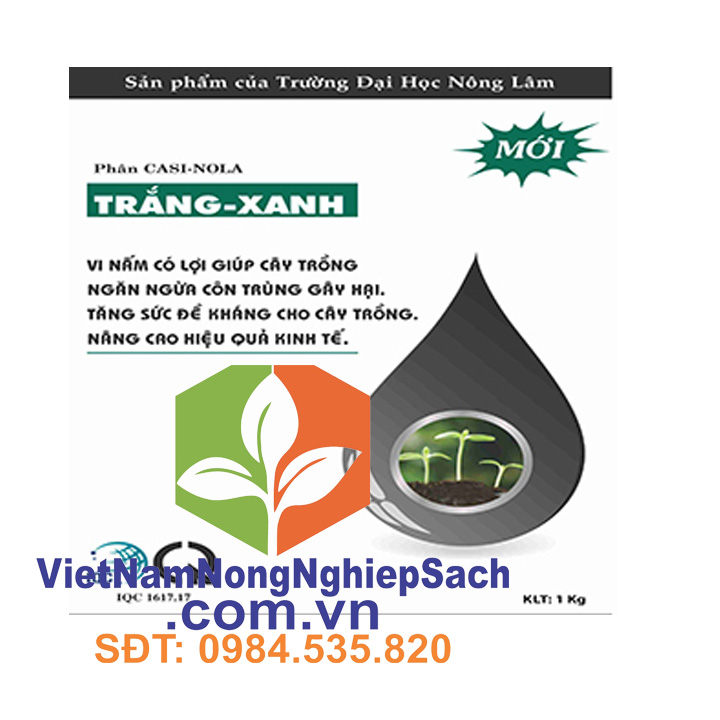 PHÂN-CASINOLA-TRẮNG-XANH PHÂN CASINOLA TRẮNG XANH