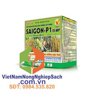 SAIGON-P1-15WP