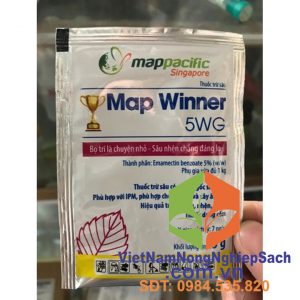 MAP-WINNER-5WG