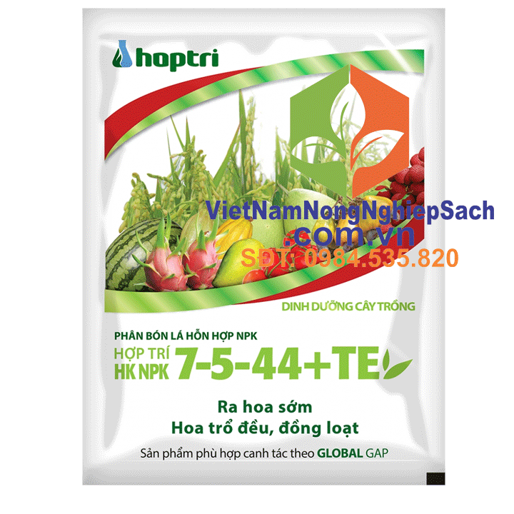 HỢP-TRÍ-7-5-44+TE HỢP-TRÍ-7-5-44+TE