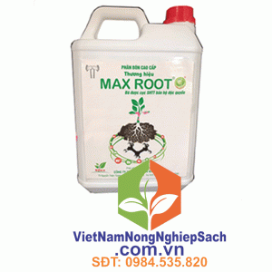 MAX-ROOT-CAN-5-LÍT