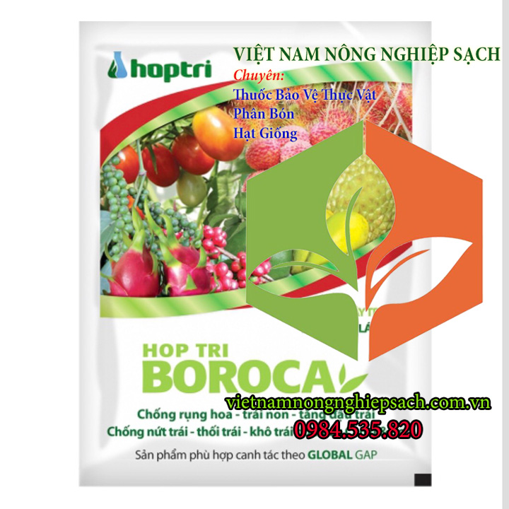 HỢP-TRÍ-BOROCA-1 HỢP-TRÍ-BOROCA-1