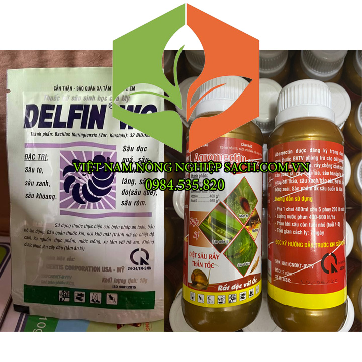 THUỐC ĐẶC TRỊ RẦY XANH GÂY HẠI CHO CÂY SẦU RIÊNG THUỐC ĐẶC TRỊ RẦY XANH GÂY HẠI CHO CÂY SẦU RIÊNG