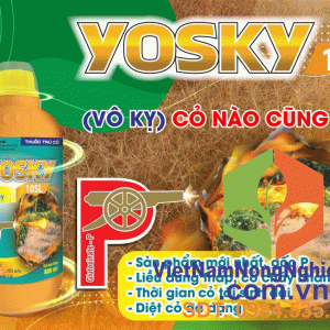 YOSKY-10SL