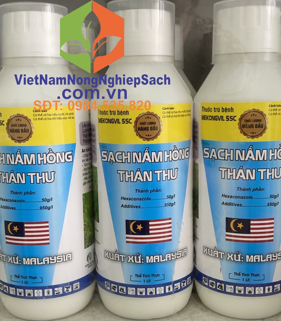 SẠCH NẤM HỒNG THÁN THƯ SẠCH NẤM HỒNG THÁN THƯ