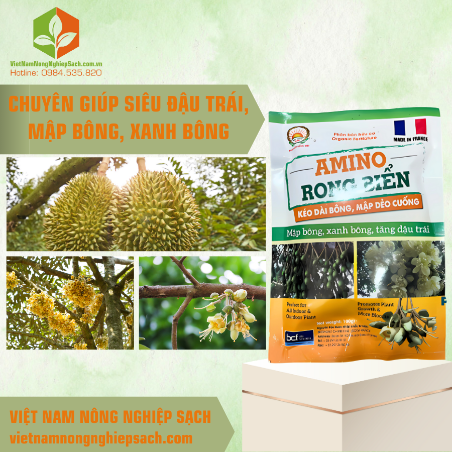 AMINO RONG BIỂN AMINO RONG BIỂN