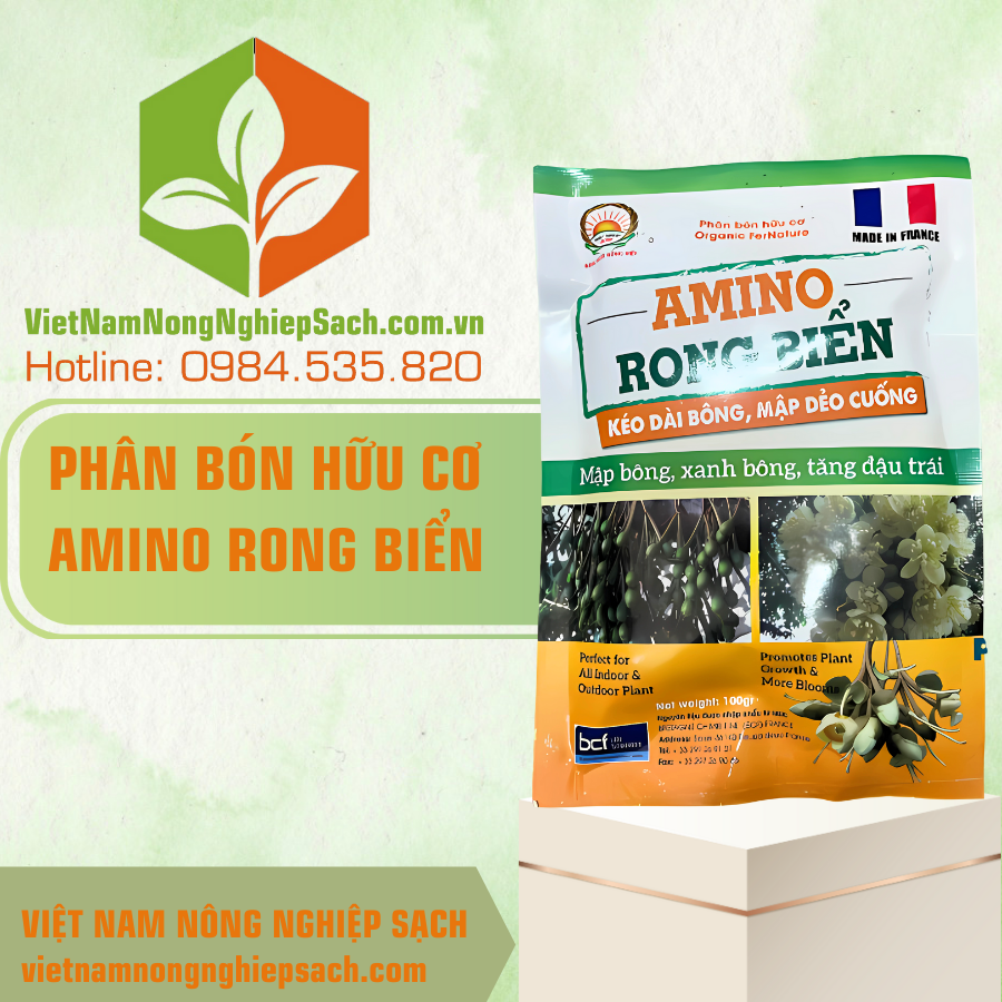 AMINO RONG BIỂN AMINO RONG BIỂN