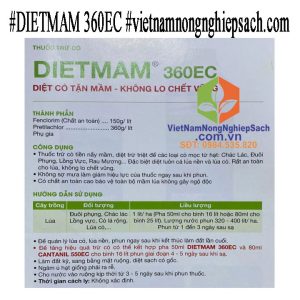DIETMAM-360EC