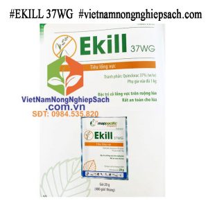 EKILL 37WG