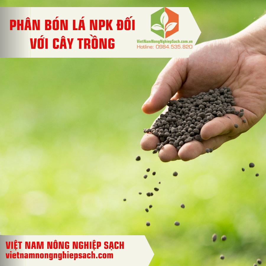 PHÂN BÓN LÁ NPK ĐỐI VỚI CÂY TRỒNG