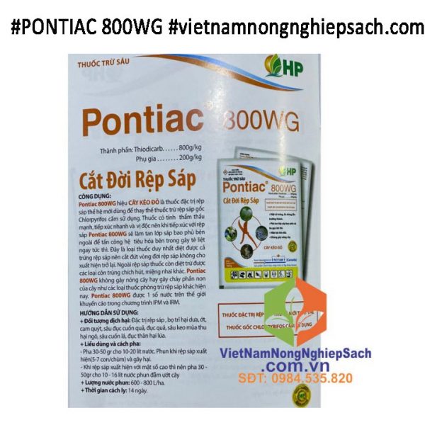 PONTIAC 800WG