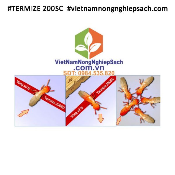 TERMIZE-200SC-MỐI