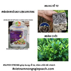 SUPER STRONG