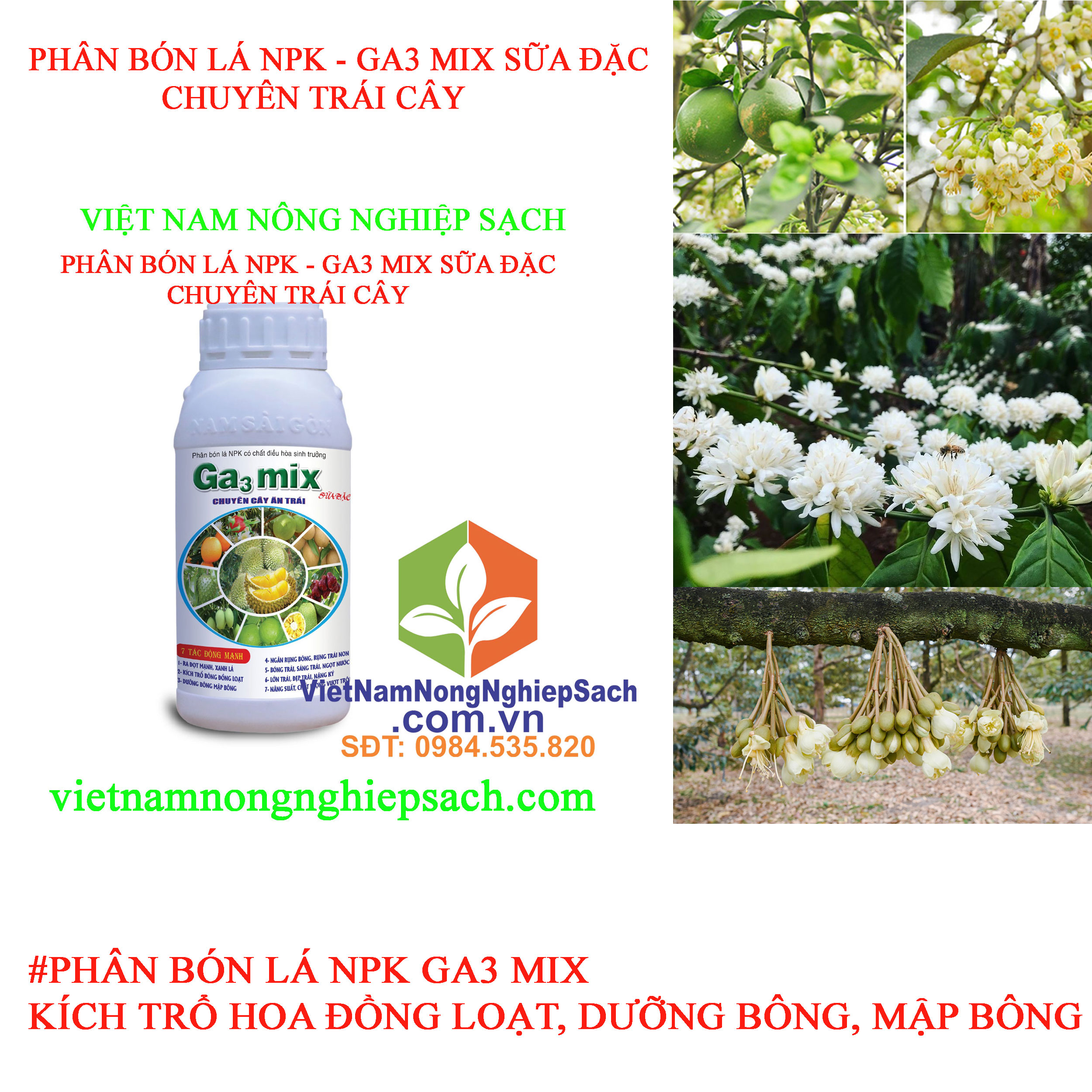 GA3-MIX-TRÁI-CÂY