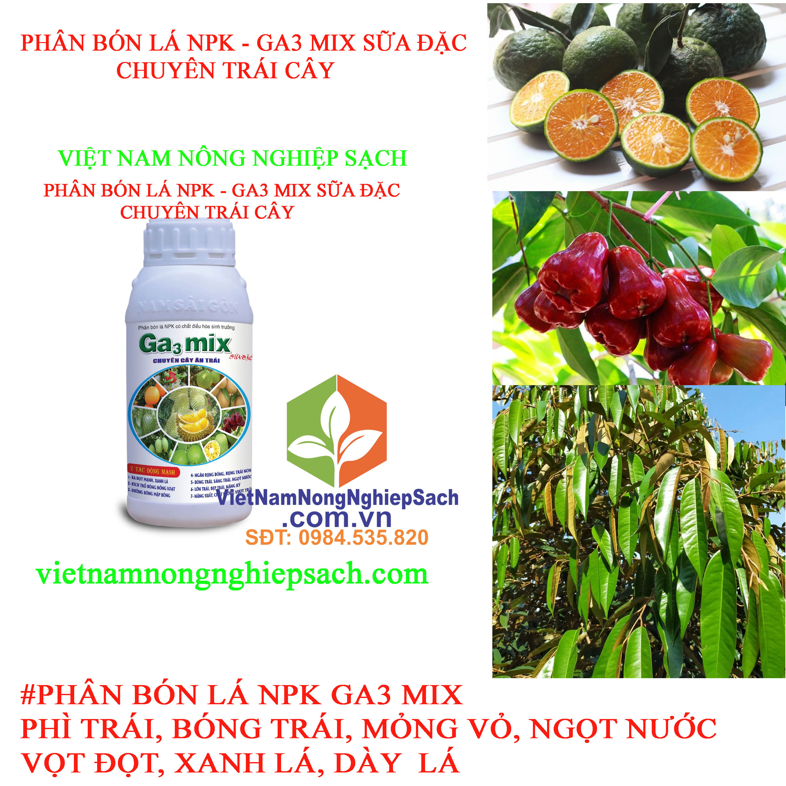 GA3-MIX-VỌT-ĐỌT