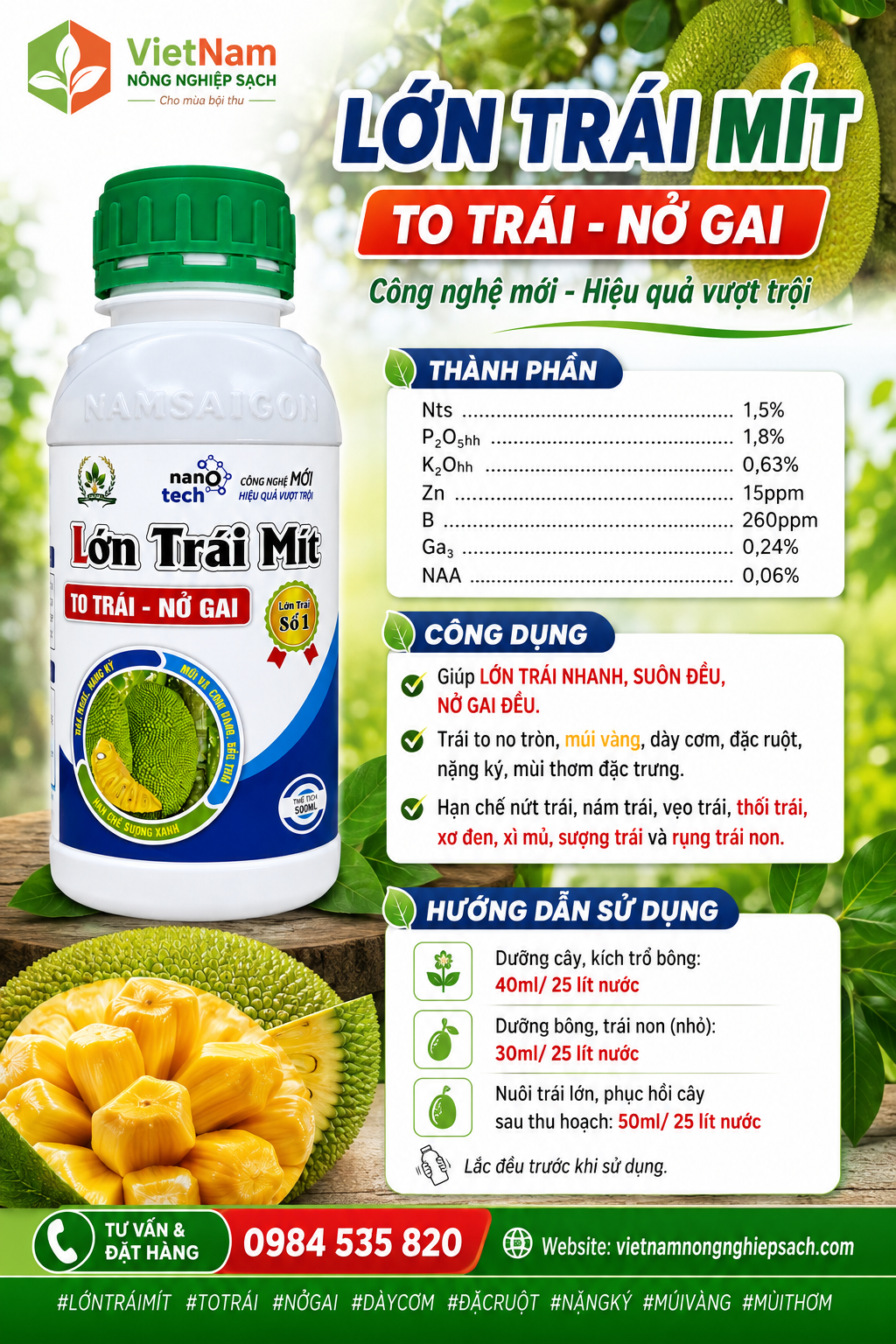 LỚN TRÁI MÍT