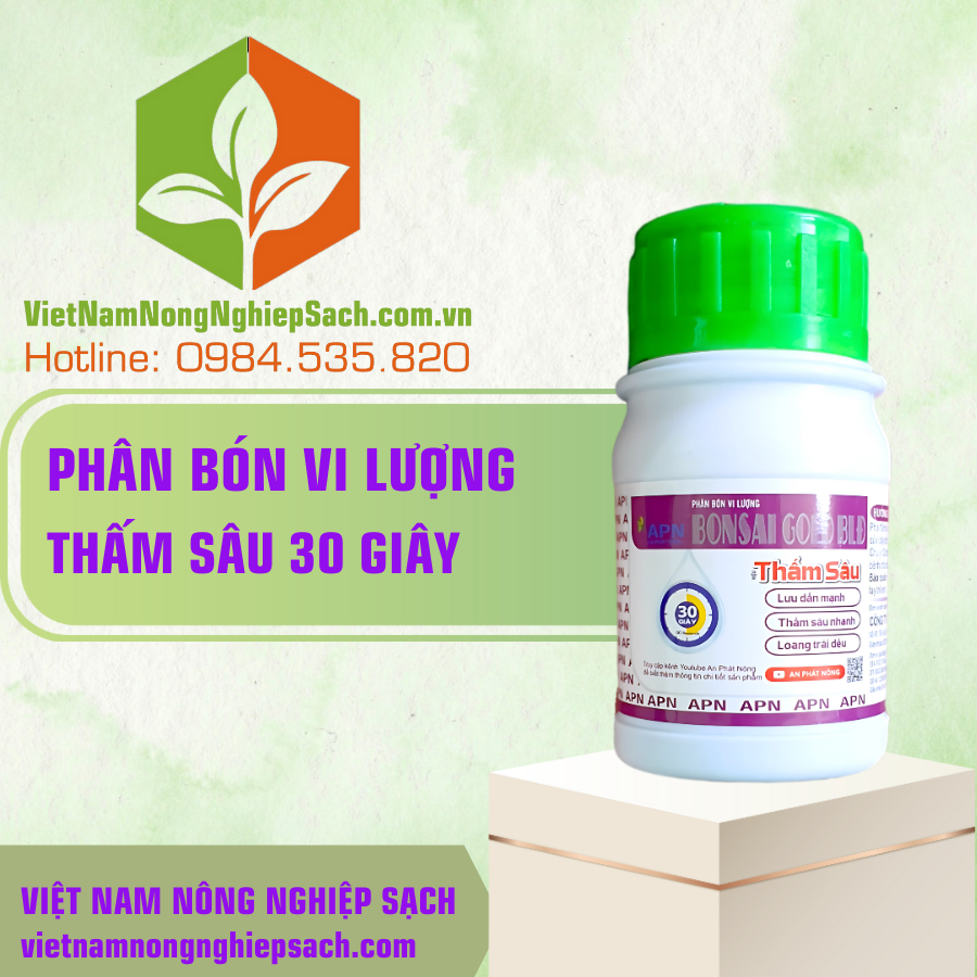 BONSAI GOLD – HIỆU THẤM SÂU 30S