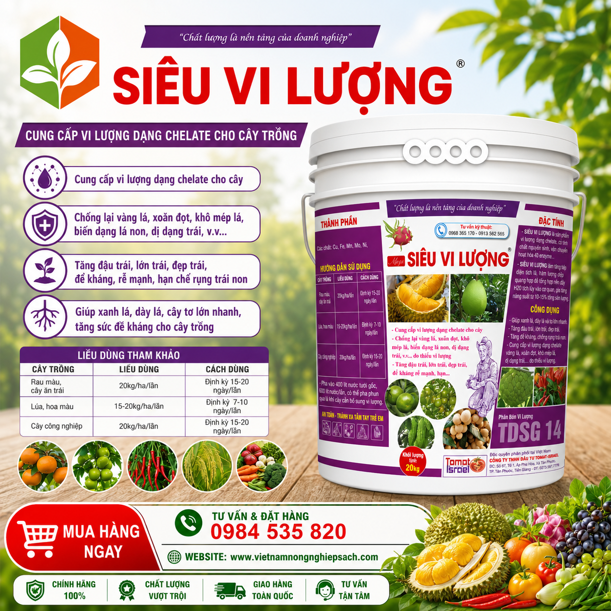 SIÊU VI LƯỢNG TOMATO ISRAEL