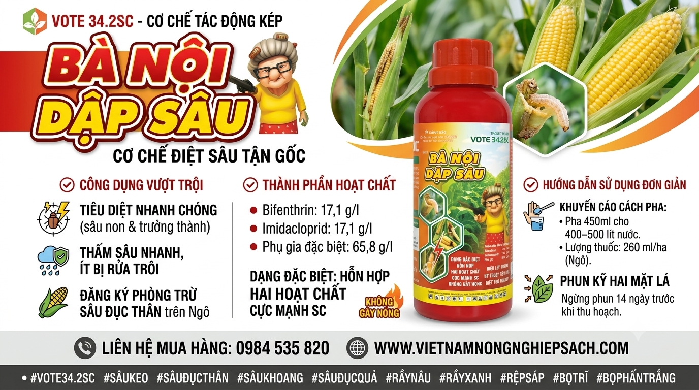 BÀ NỘI DẬP SÂU THUỐC TRỪ SÂU VOTE 34.2SC 