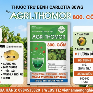 CARLOTTA 80WG HIỆU AGRI.THOMOR 800 CỐM 