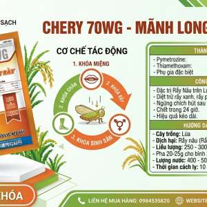 CHERY 70WG HIỆU MÃNH LONG DIỆT RẦY