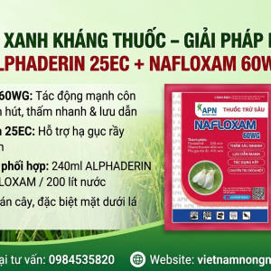 DIỆT RẦY XANH KHÁNG THUỐC – GIẢI PHÁP PHỐI HỢP ALPHADERIN 25EC + NAFLOXAM 60WG