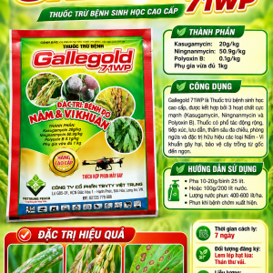 GALLEGOLD 71WP GÓI 100GR