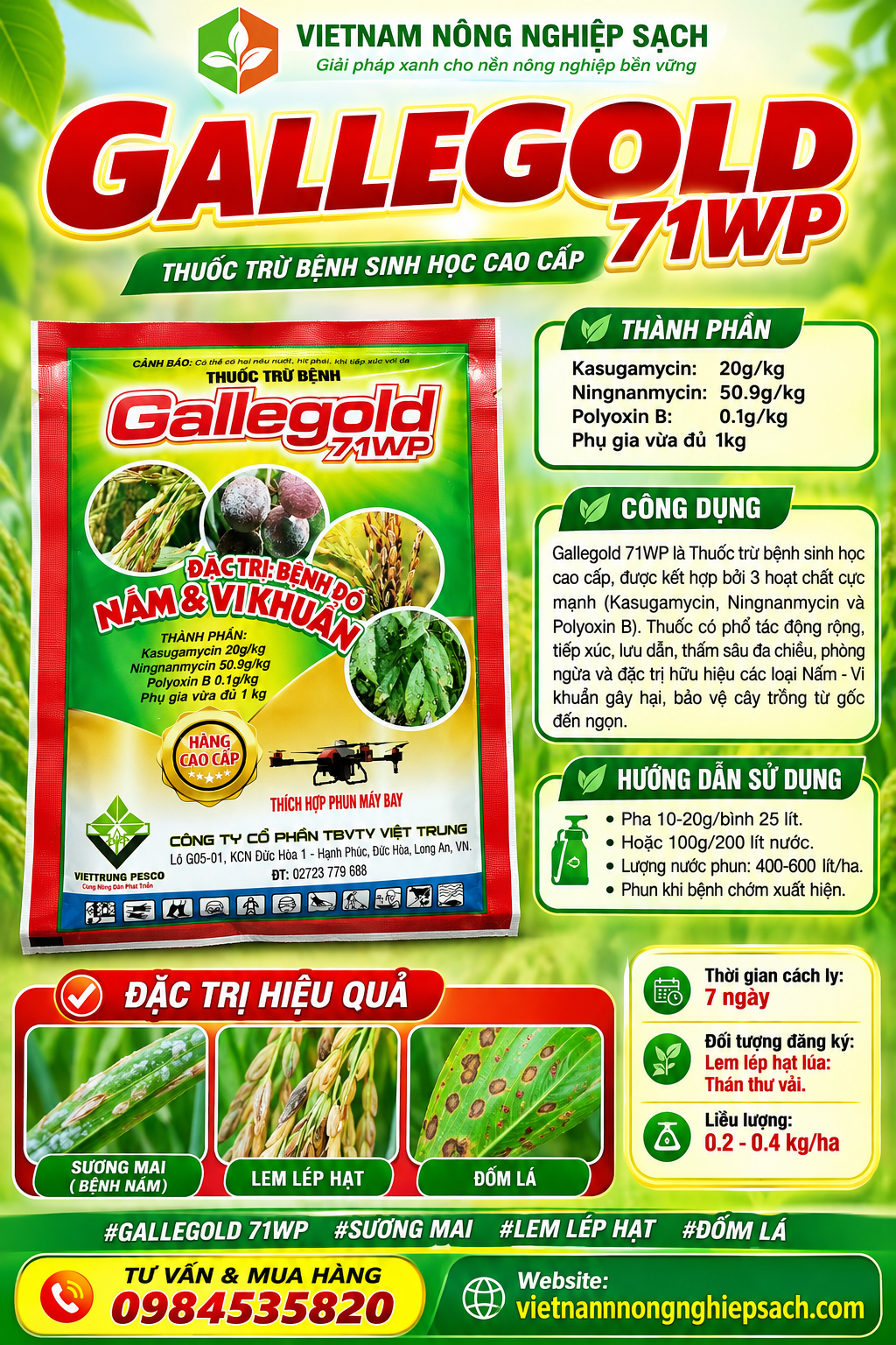 GALLEGOLD 71WP GÓI 100GR