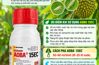 GIẢI PHÁP TRỊ RẦY HIỆU QUẢ TRÊN CÂY SẦU RIÊNG VỚI AOBA 15EC