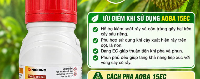 GIẢI PHÁP TRỊ RẦY HIỆU QUẢ TRÊN CÂY SẦU RIÊNG VỚI AOBA 15EC