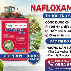 NAFLOXAM 60WG GÓI 60GR