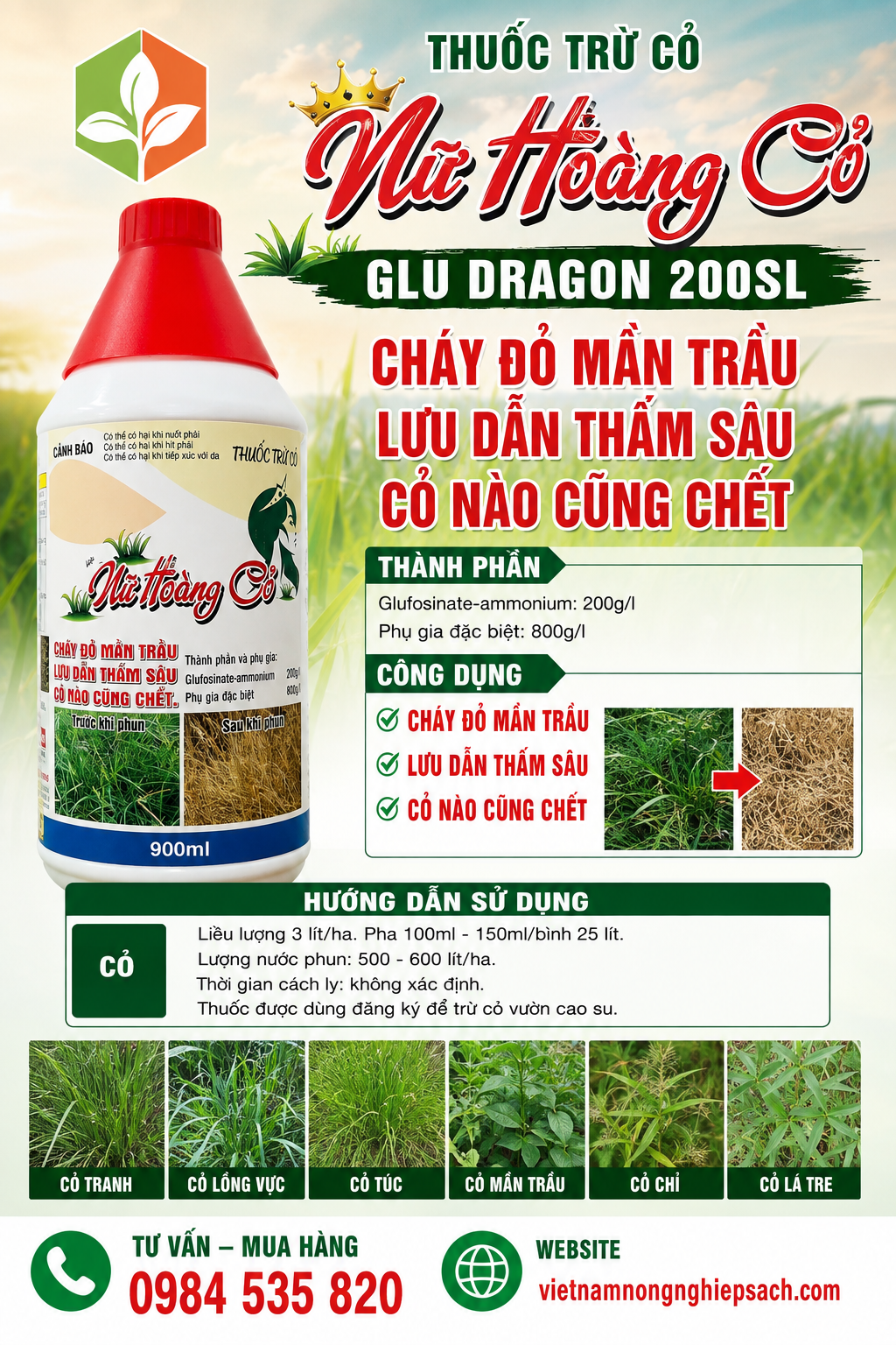 NỮ HOÀNG CỎ THUỐC TRỪ CỎ GLU DRAGON 200SL