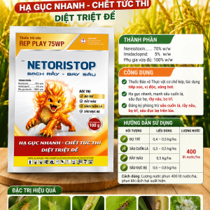 REP PLAY 75WP HIỆU NETORISTOP