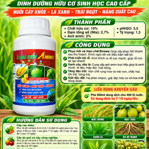 RONG BIỂN AMINO