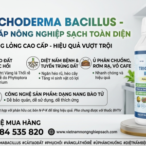 TRICHODERMA BACILLUS ASIA