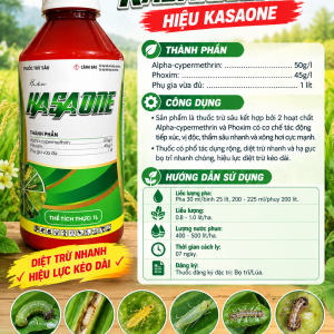 KASAKIUSA 95EC HIỆU KASAONE CHAI 1 LÍT
